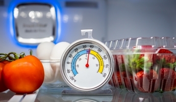The importance of refrigeration in maintaining food safety
